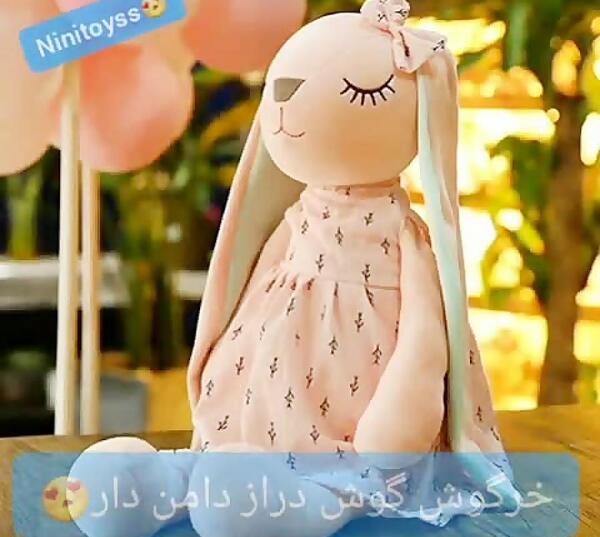 عکس خرگوش گوش دراز