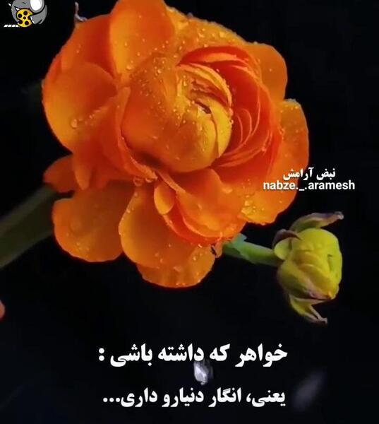 عکس نوشته خواهر داشته باشی