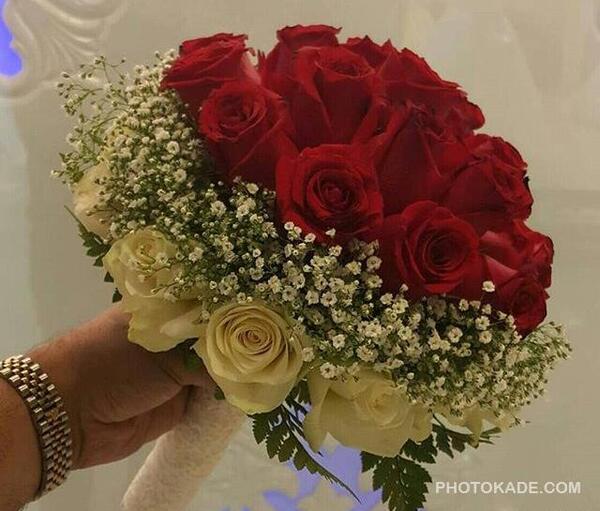 عکس پروفایل عروس های زیبا