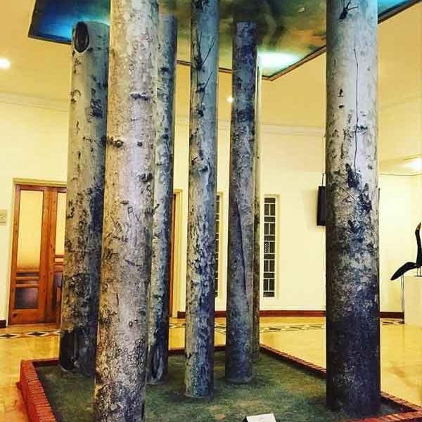 عکس خونه ی فریبا نادری