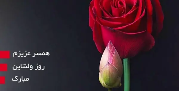 عکس پیام تبریک ولنتاین برای شوهر