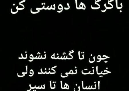 عکس نوشته طعنه دار خیانت