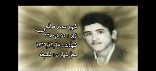 عکس محمد صالحی