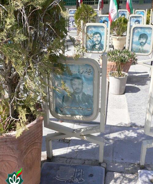 عکس محمد صالحی