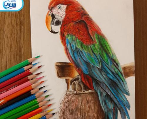 عکس نمونه طرح برای نقاشی با مداد رنگی