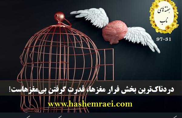 عکس طوطی فراری