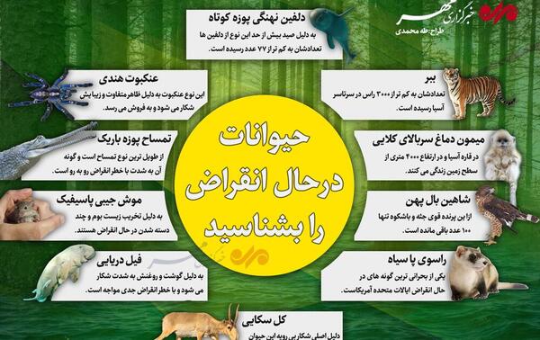 عکس حیوانات در حال انقراض ایران