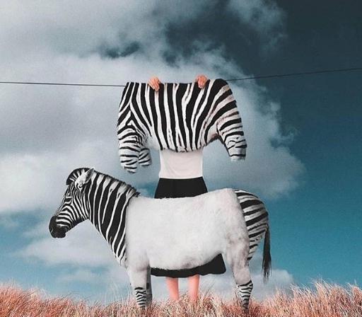 عکس برای پروفایل حیوان
