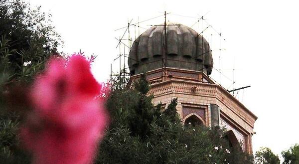 عکس بابا کوهی