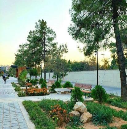 عکس بابا کوهی