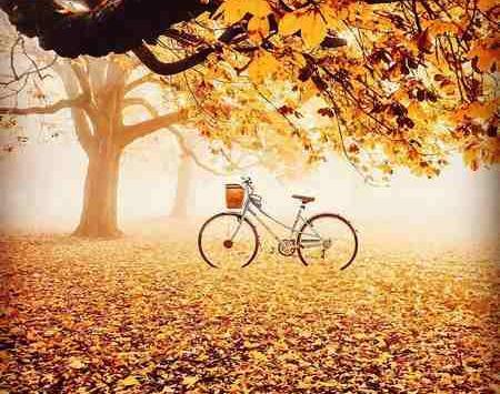 عکس متحرک پاییزی برای پروفایل