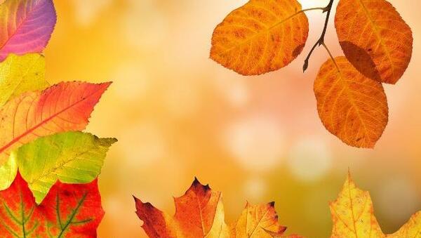 عکس متحرک پاییزی برای پروفایل