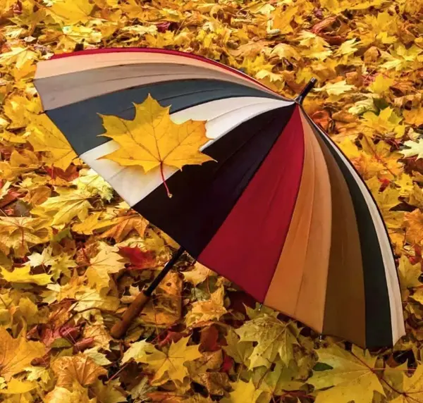 عکس متحرک پاییزی برای پروفایل