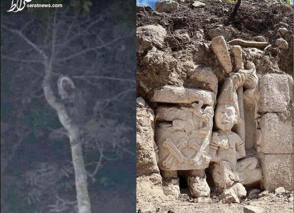 عکس جن چاق