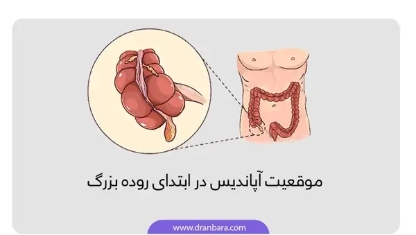 عکس جن چاق