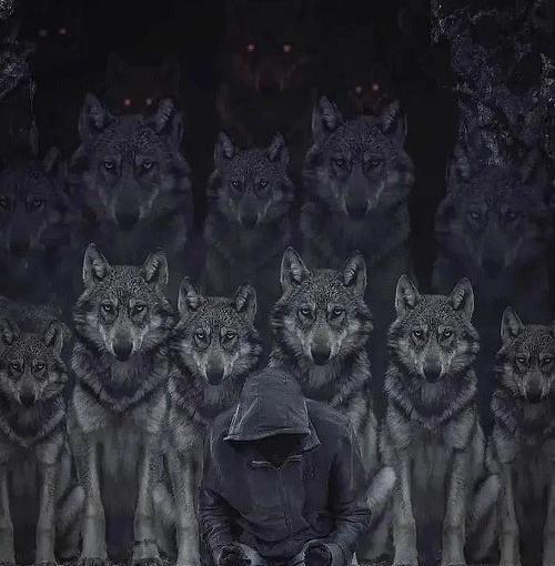 پسرانه عکس پروفایل گرگ
