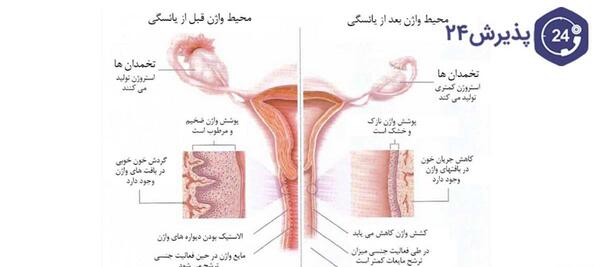 عکس نوره نی نی سایت