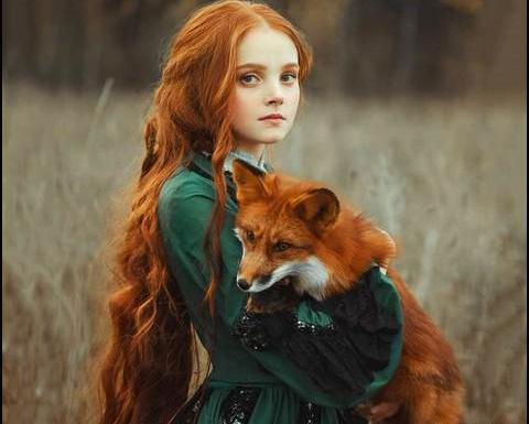عکس روباه نه دم برای پروفایل
