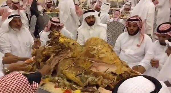 عکس شتر عربی