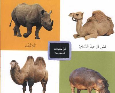 عکس شتر عربی