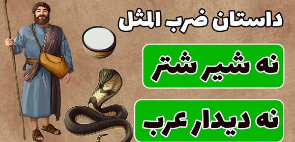 عکس شتر عربی