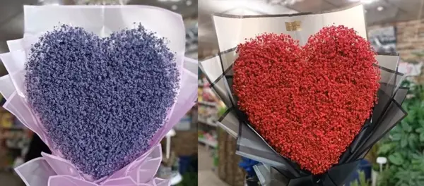عکس قلب شکوفه