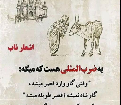 عکس ضرب خلاصه