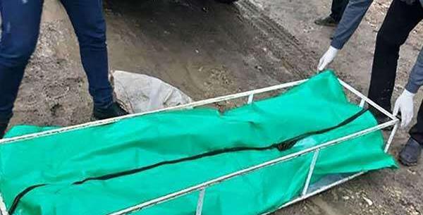 عکس پسر بچه گمشده