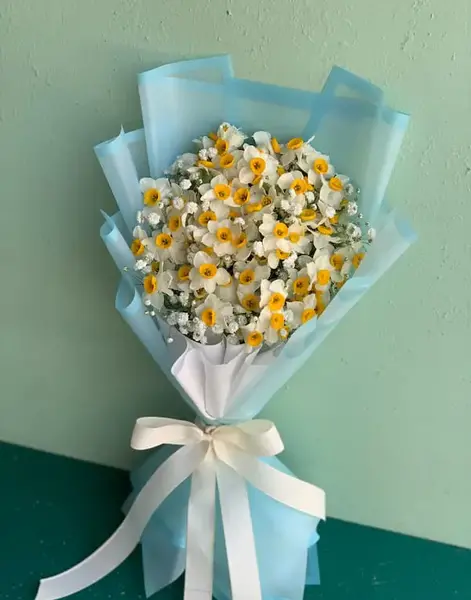 عکس صفحه گل نرگس