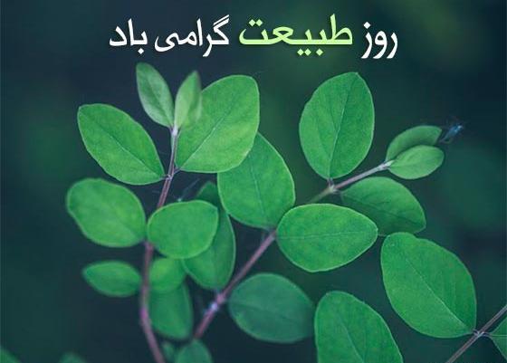 عکس پیشاپیش سیزده بدر مبارک