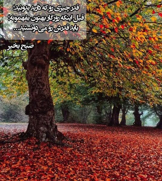 عکس نوشته سلام و صبح بخیر جدید