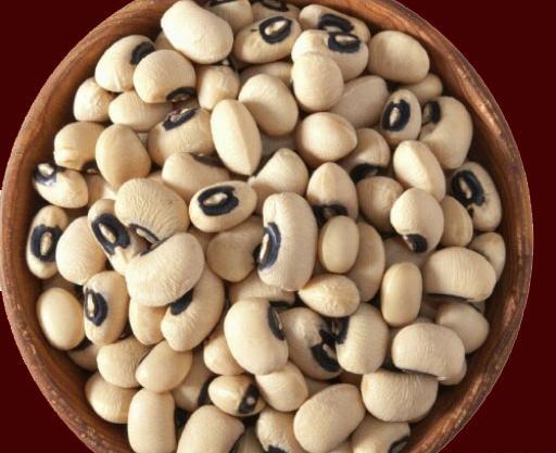 عکس سبزه چشم بلبلی