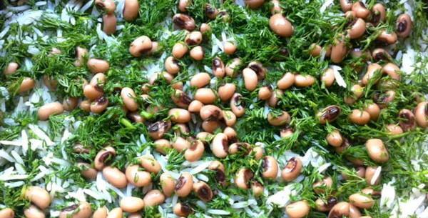 عکس سبزه چشم بلبلی