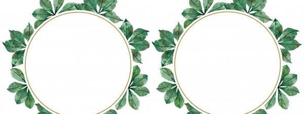 عکس سبز برای نوشتن