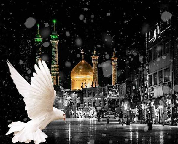 عکس حضرت معصومه شهادت