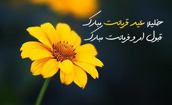 عکس نوشته عید قربان مبارک عشقم