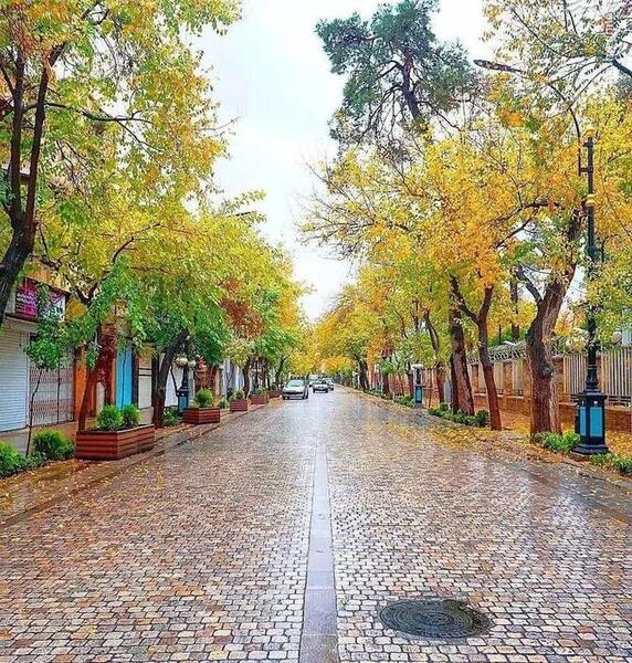 عکسهای زیبا از طبیعت شیراز