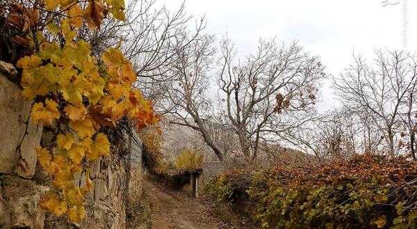 عکسهای زیبا از طبیعت شیراز
