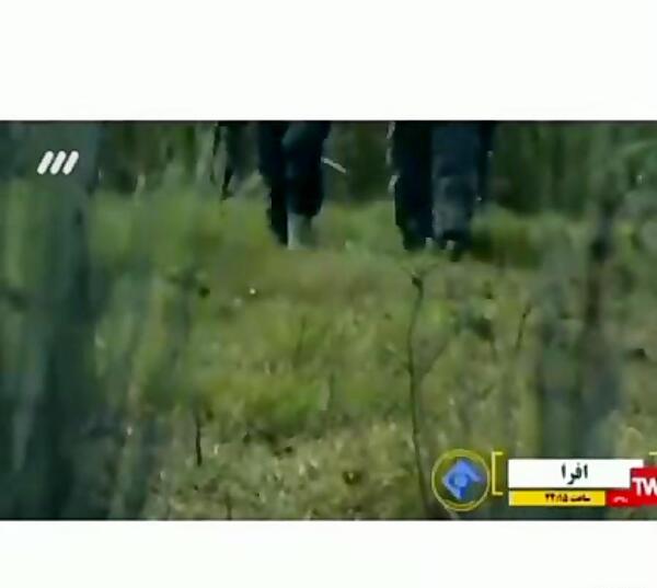 عکس روزبه حصاری در افرا
