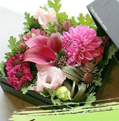 عکس نوشته عمو جان قدم نو رسیده مبارک