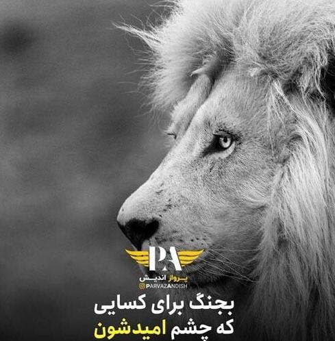 عکس شیر تنها برای پروفایل