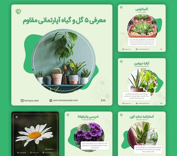 عکس اینستاگرام گل