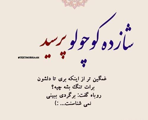 عکس نوشته هایی از کتاب شازده کوچولو