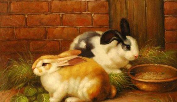 عکس خرگوش نقاشی ساده