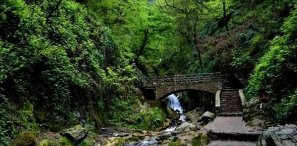 عکس نقشه هوایی علی آباد کتول
