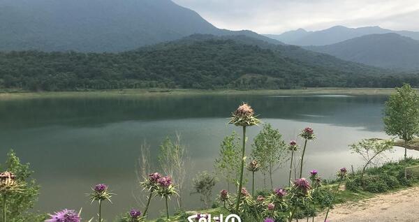 عکس نقشه هوایی علی آباد کتول