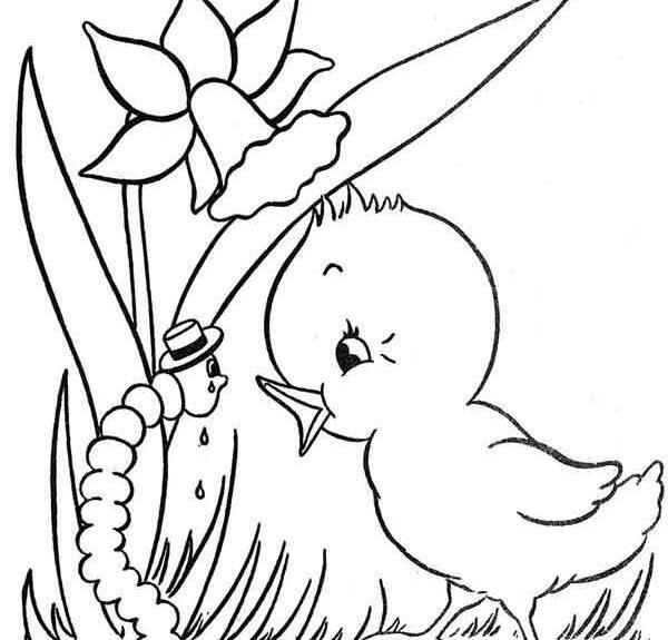 عکس جوجه مرغ نقاشی