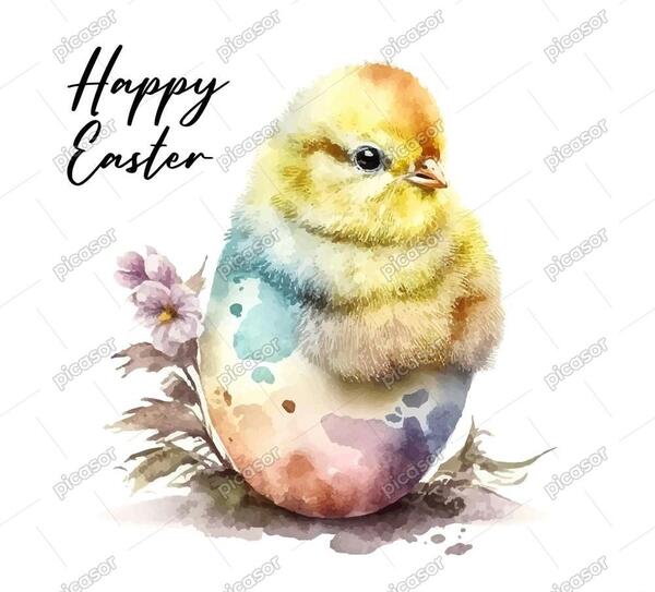 عکس جوجه مرغ نقاشی