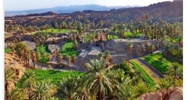 عکس هوایی طبس