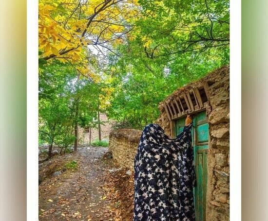 عکس پاییزی هنری